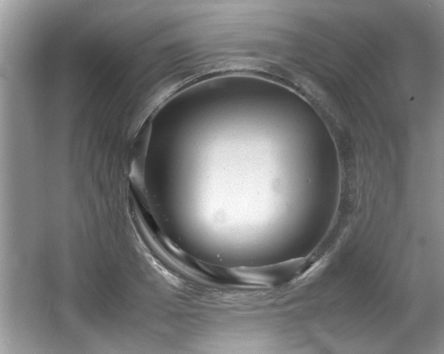 X0000065960985200603061146
