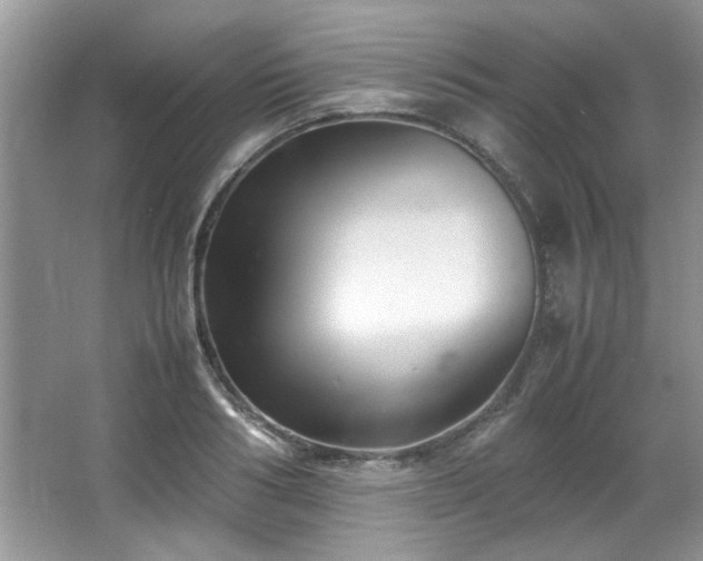 X0000065960986200603061146