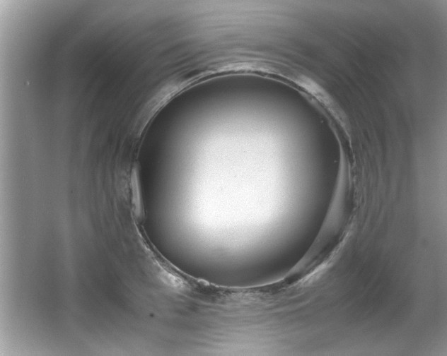 X0000065960993200603061146
