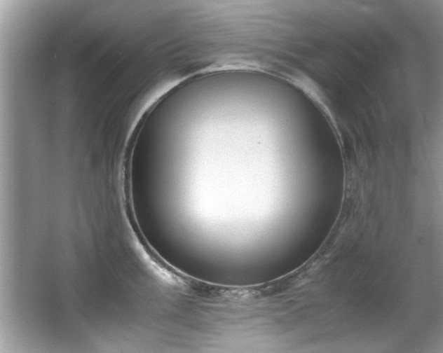 X0000065961003200603061145