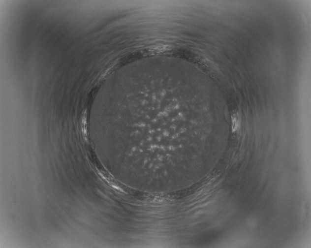 X0000065961011200603061145