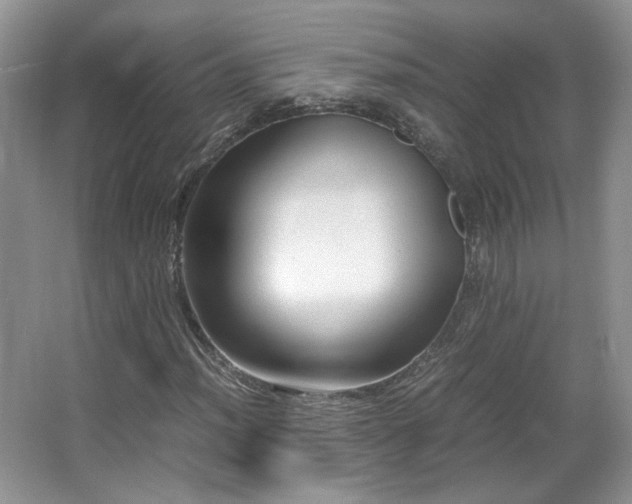 X0000065961012200603061145