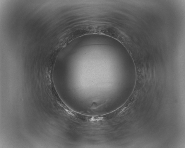 X0000065961013200603061145