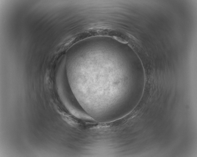 X0000065961014200603061145