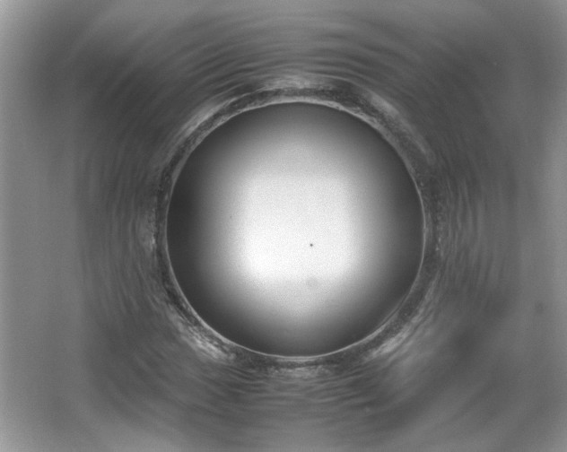 X0000065961017200603061145