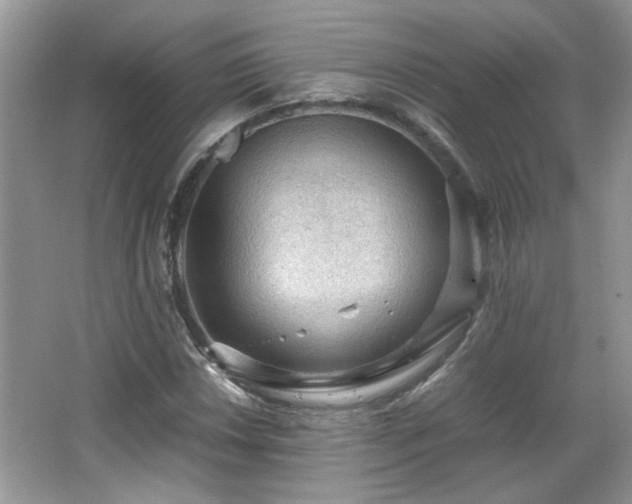 X0000065961018200603061145