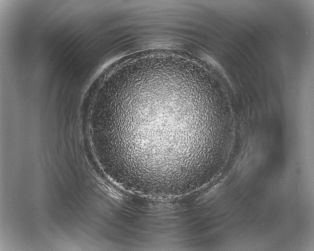 X0000065961019200603061145