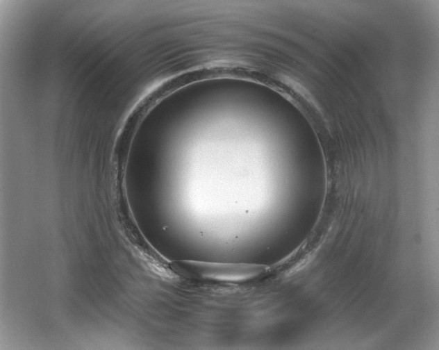 X0000065961021200603061145