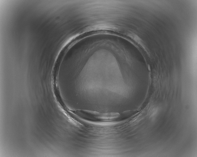 X0000065961024200603061145
