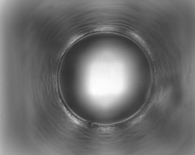 X0000065961041200603061145