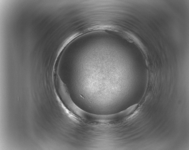 X0000065961050200603061145