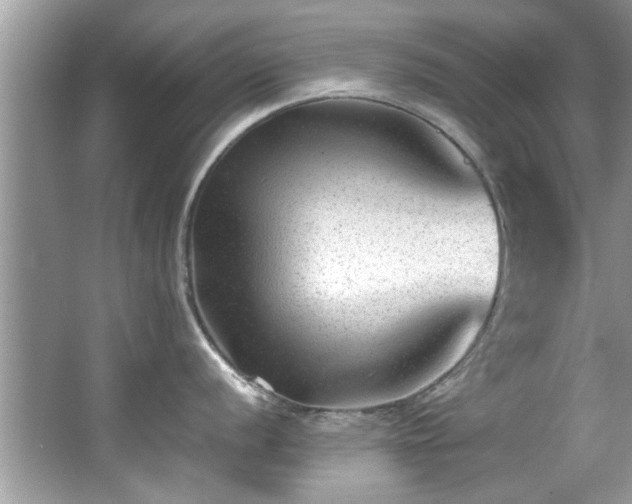 X0000065961056200603061145