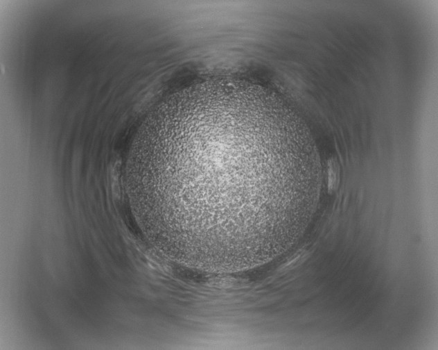 X0000065961059200603061144