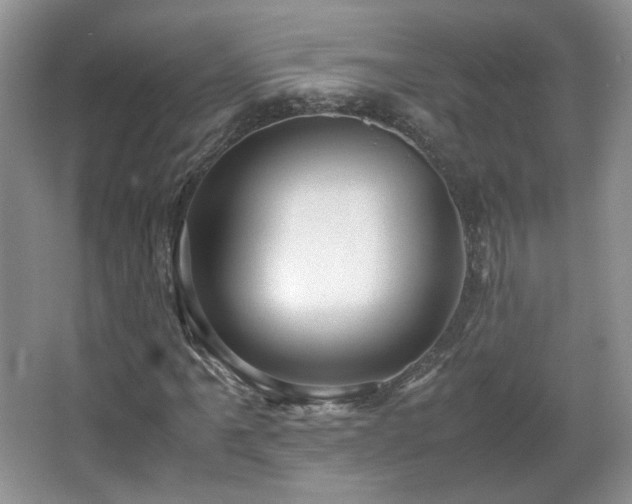 X0000065961061200603061144