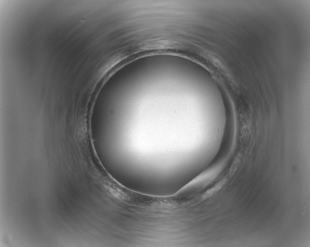 X0000065961073200603061144
