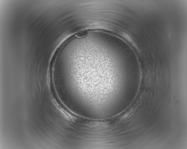 X0000065961076200603061144