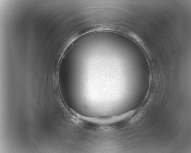 X0000065961097200603061144