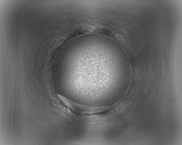 X0000065961105200603061143