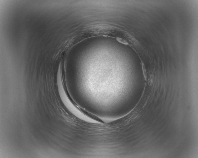 X0000065961108200603061143