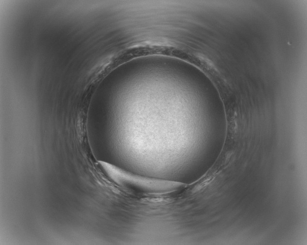 X0000065961110200603061143