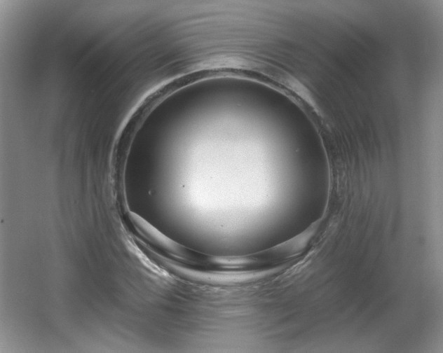 X0000065961116200603061143