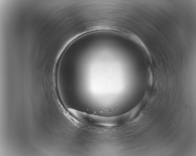 X0000065961148200603061144