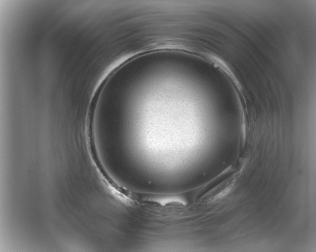 X0000065961149200603061144