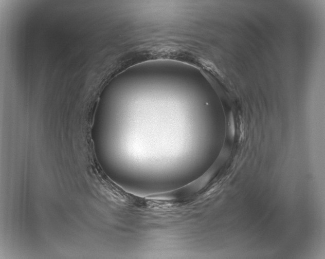 X0000065961153200603061143