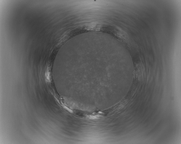 X0000065961154200603061143