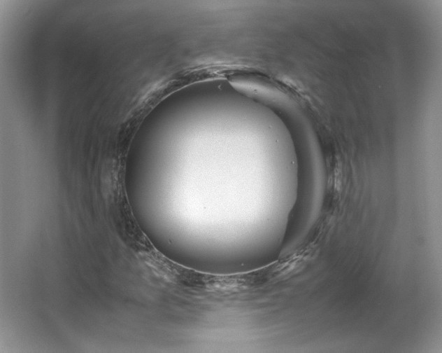 X0000065961157200603061143