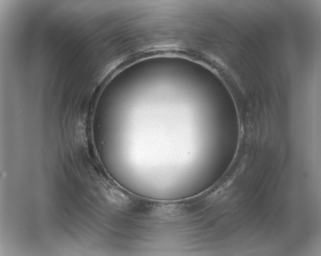 X0000065961162200603061143