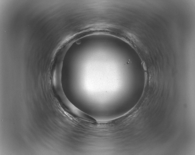 X0000065961164200603061143