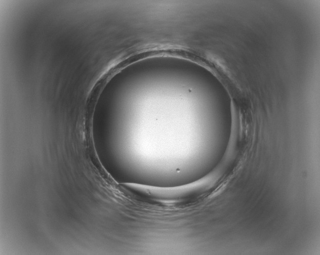 X0000065961165200603061143
