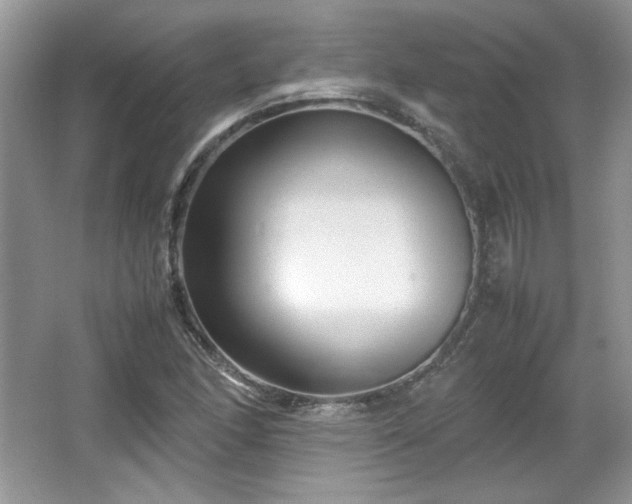 X0000065961166200603061143