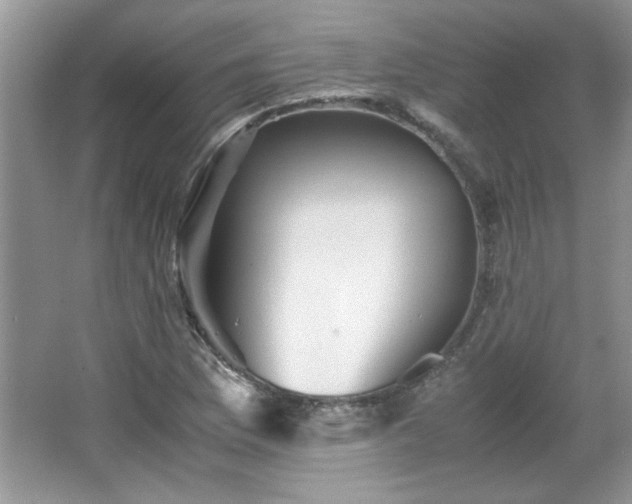X0000065961169200603061143