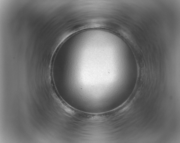 X0000065961178200603061142