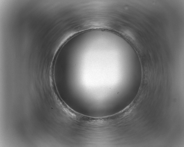 X0000065961182200603061142