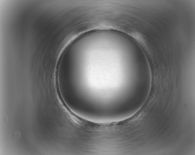 X0000065961183200603061142