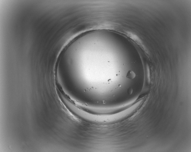 X0000065961184200603061142