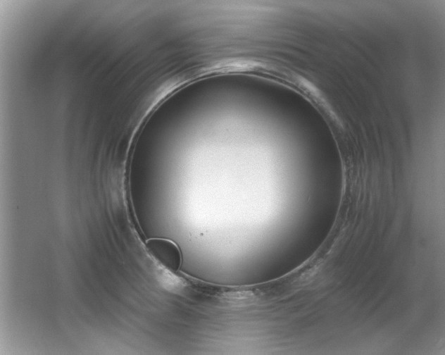 X0000065961186200603061142