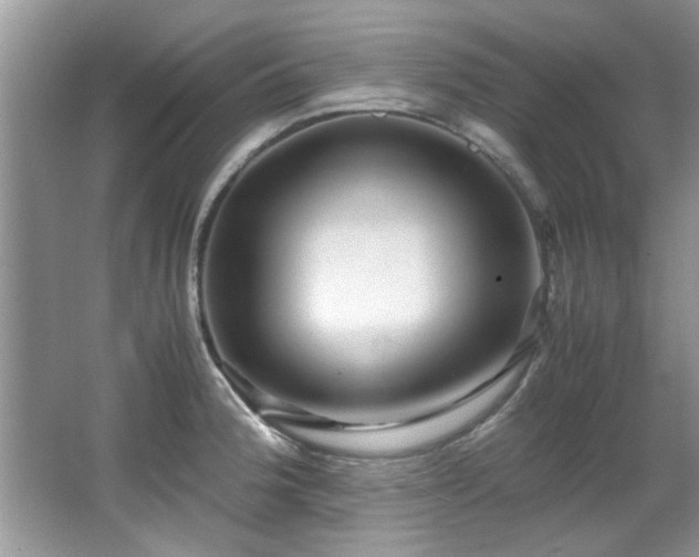 X0000065961188200603061142