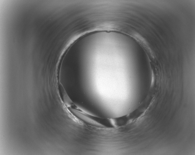 X0000065961192200603061142