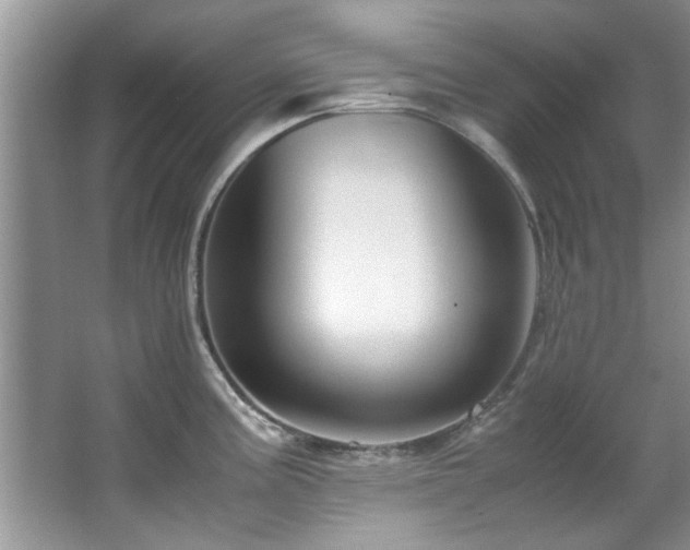 X0000065961195200603061142