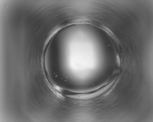 X0000065961196200603061142