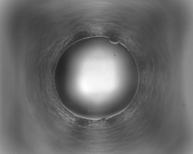 X0000065961201200603061141