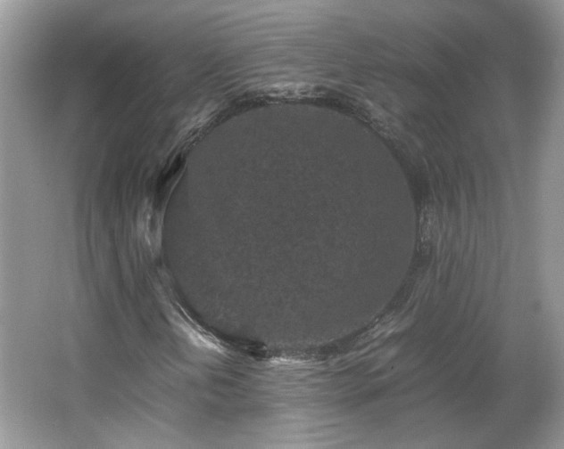 X0000065961202200603061141