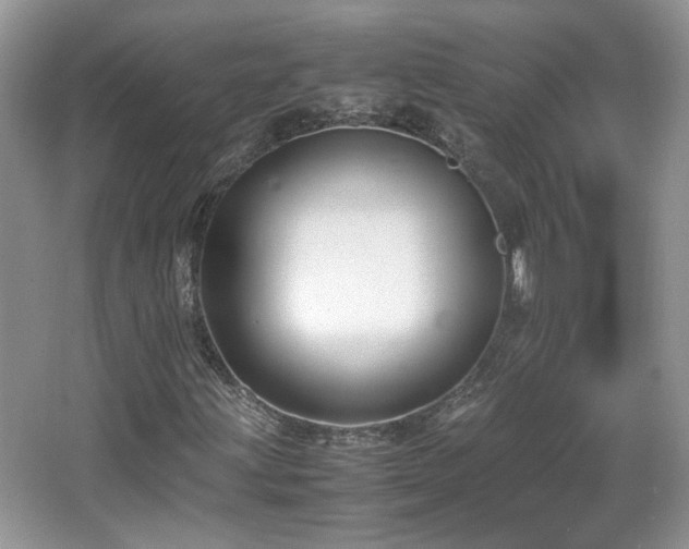 X0000065961203200603061141