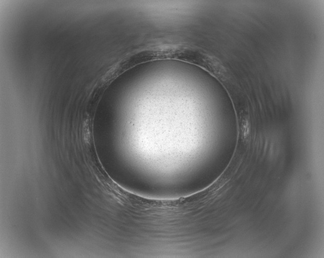 X0000065961204200603061141