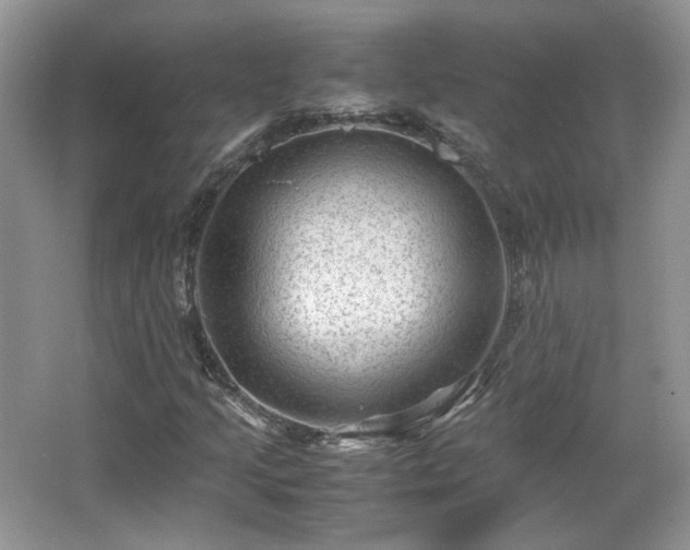 X0000065961205200603061141