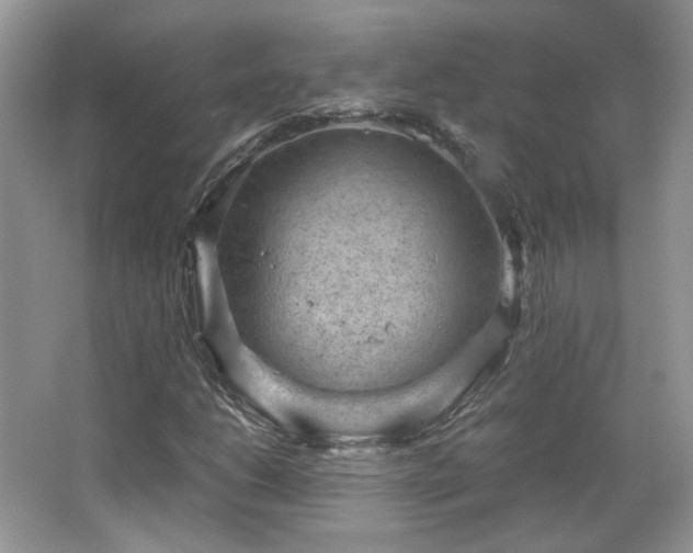 X0000065961206200603061141